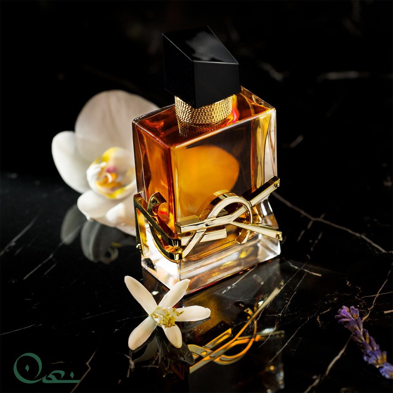 Yves Saint Laurent Libre